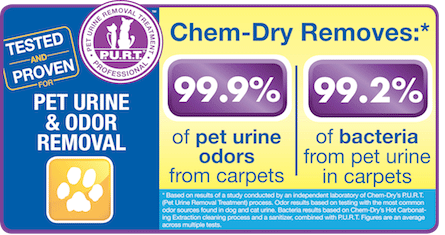 urine dry