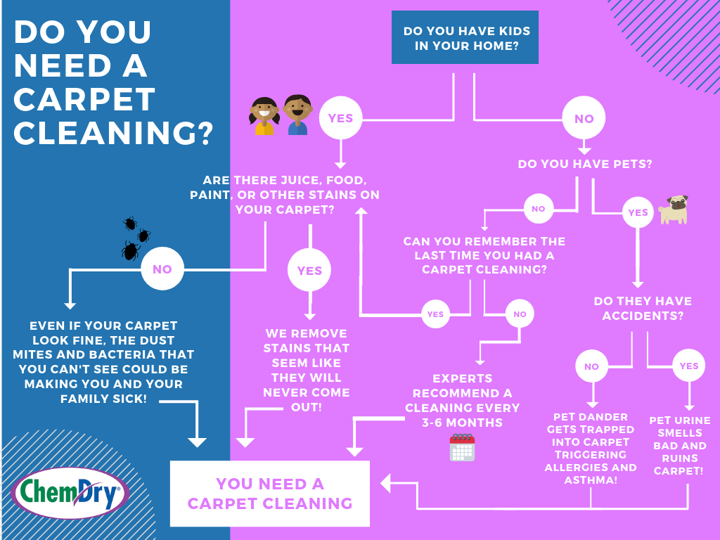 do you need a carpet infographic