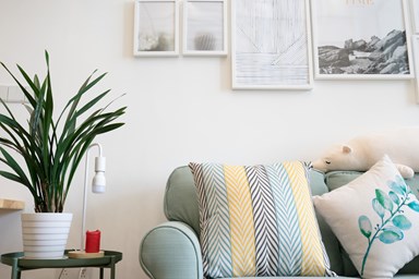 cute blue living room couch in San Francisco CA