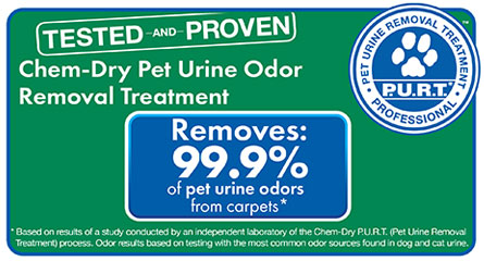 Chem-Dry by Leonard removes pet urine and odors in San Francisco CA