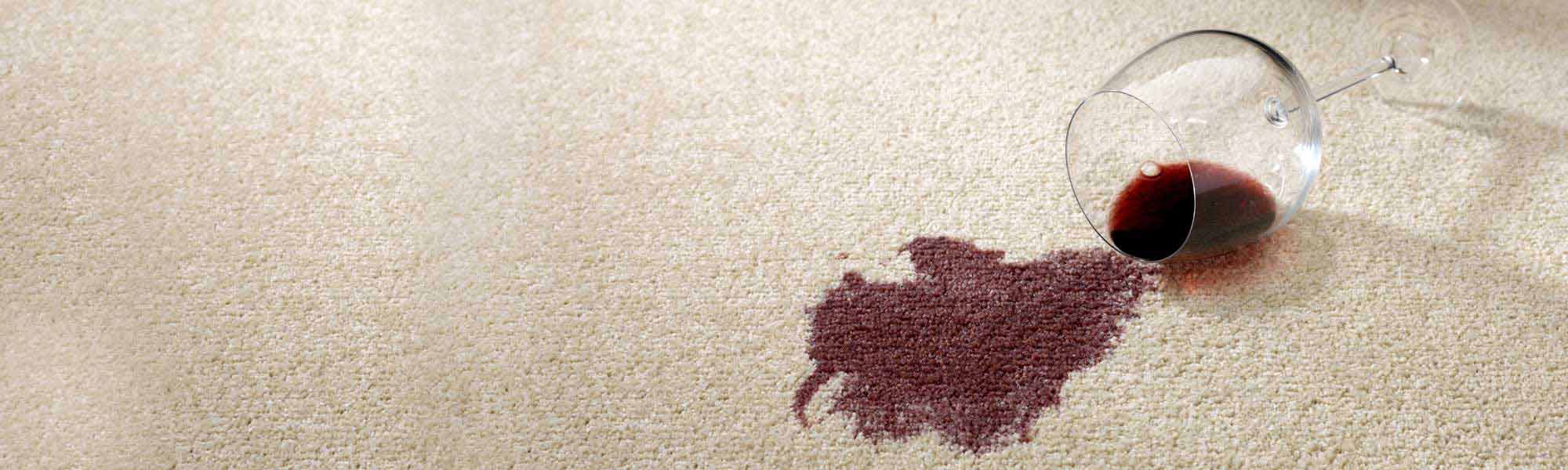 Professional Stain Removal and Carpet Stain Remover Service by Chem-Dry by Leonard in San Francisco CA